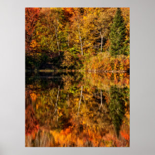 Höstreflektion över Coffin Pond Poster
