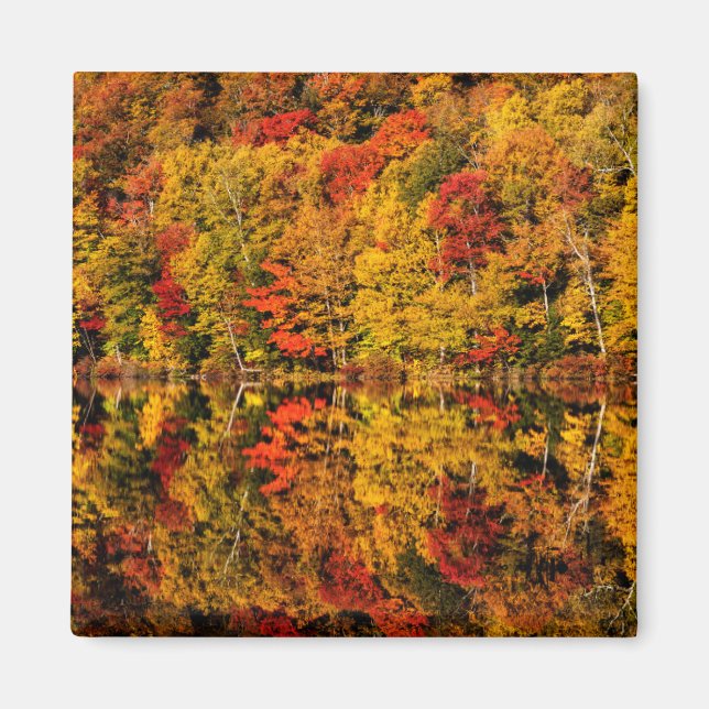 Höstreflektion över Russell Pond | New Hampshire Magnet (Framsidan)