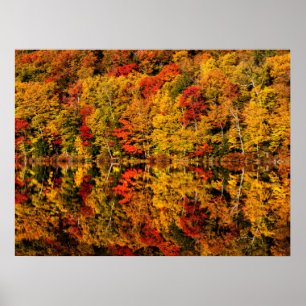 Höstreflektion över Russell Pond New Hampshire Poster