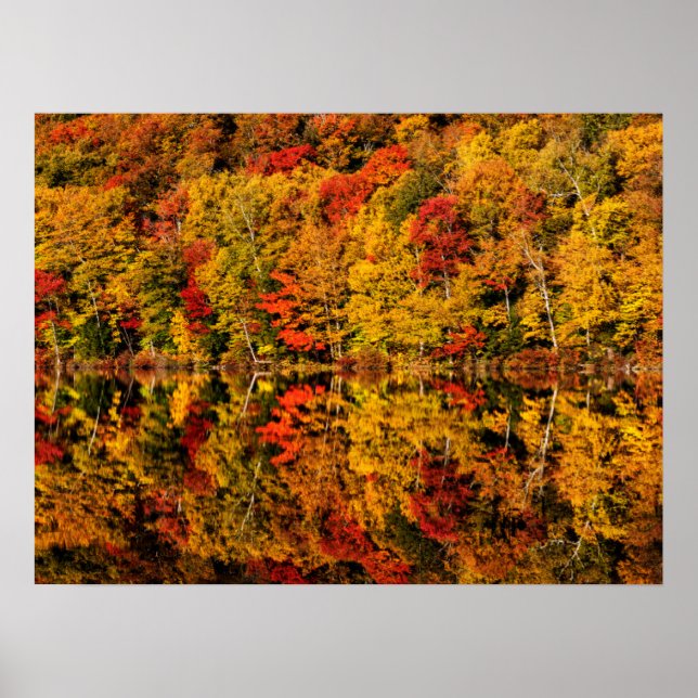 Höstreflektion över Russell Pond | New Hampshire Poster (Framsidan)