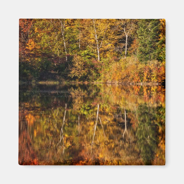 Höstreflektion på Coffin Pond Magnet (Framsidan)