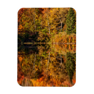 Höstreflexion om Coffin Pond Magnet