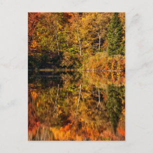 Höstreflexion om Coffin Pond Vykort