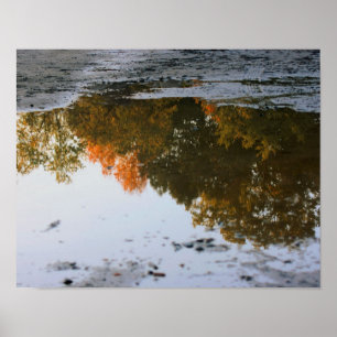 Höstreflexioner i en puddle-typ poster