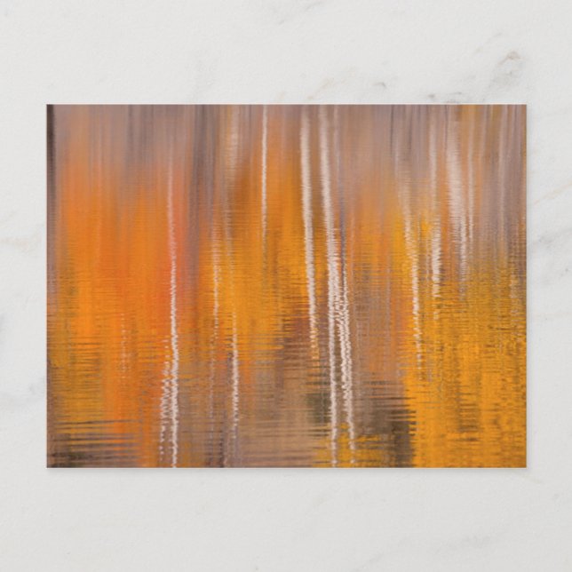 Höstreflexioner om Beaver Pond | Winthrop, WA Vykort (Framsida)