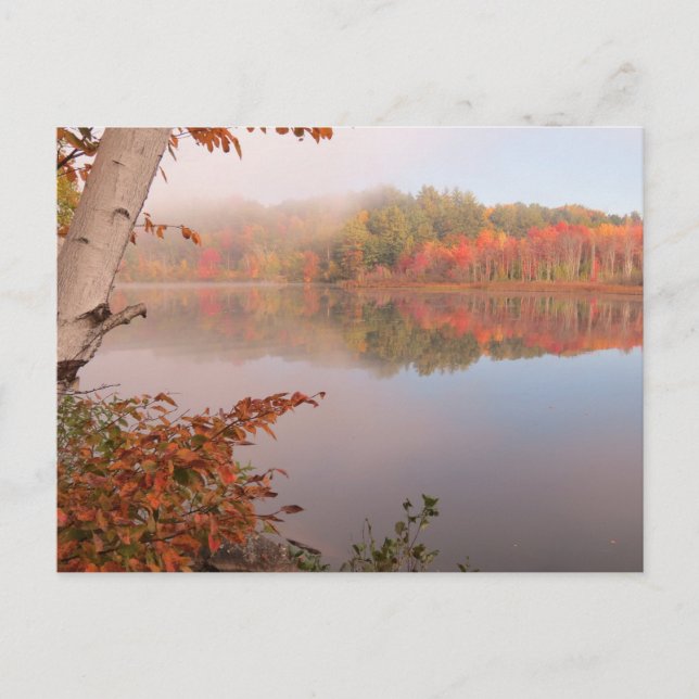 Höstreflexioner utanför födelsetalen vykort (Framsida)