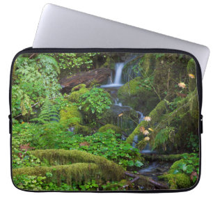 Höstregnskog Olympic National Park Laptop Fodral