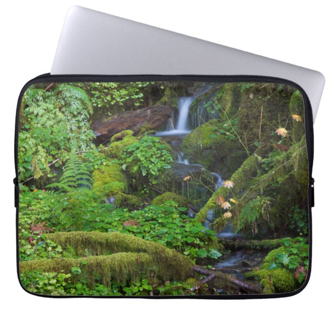 Höstregnskog | Olympic National Park Laptop Fodral (Framsidan)