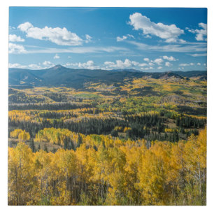 Höströrelse i Flat Tops Routt National Forest Kakelplatta