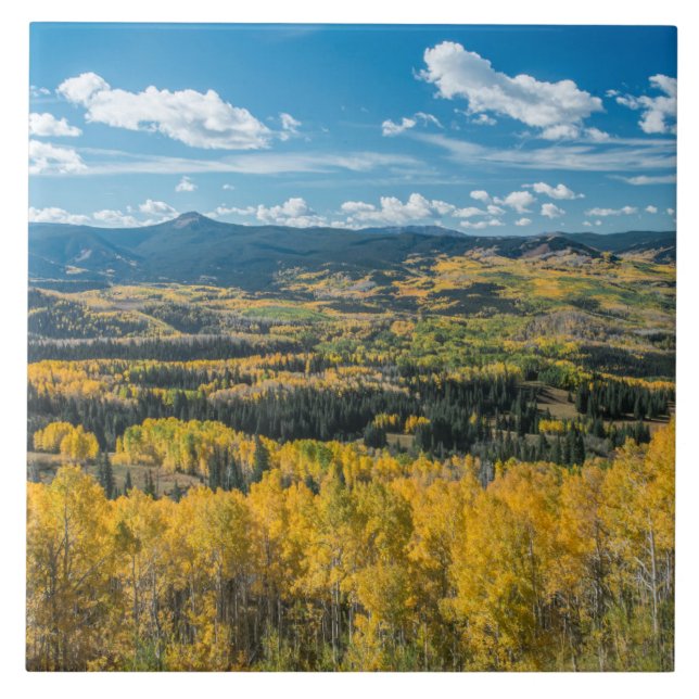 Höströrelse i Flat Tops | Routt National Forest Kakelplatta (Framsidan)