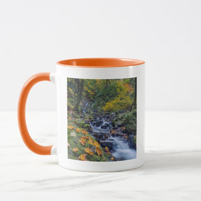 Höströrelse längs Starvation Creek Falls Mugg (Vänster)