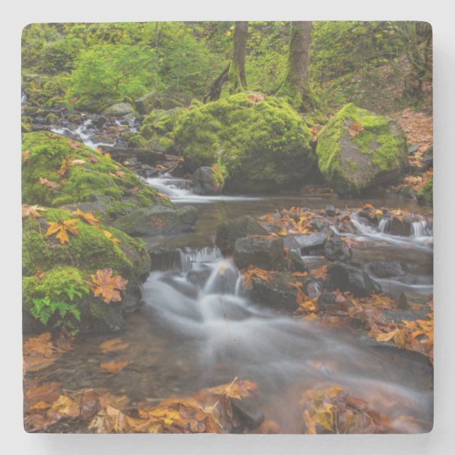 Höströrelse längs Starvation Creek Falls Stenunderlägg (Framsidan)