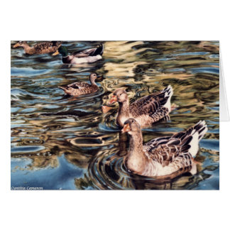 Höstsång - gäss och ankor i damm hälsningskort