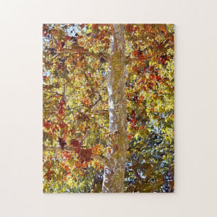 Höstsäsongen Sycamore Träd Art Puzzle Pussel