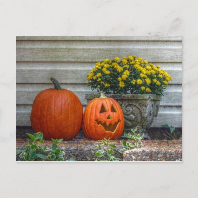 Höstscen Vykort (Framsida)