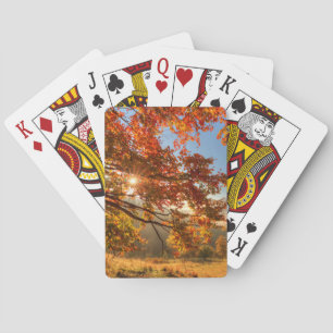 Höstskog i bergen casinokort