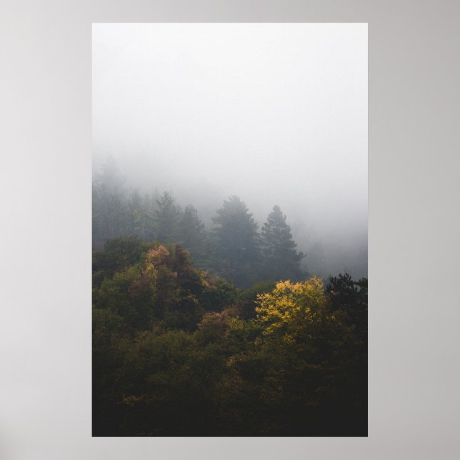 Höstskog i dimma poster (Framsidan)