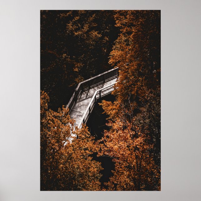 Höstskog med trä Väg Poster (Framsidan)