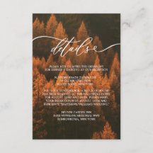 Höstskog Minimalistisk