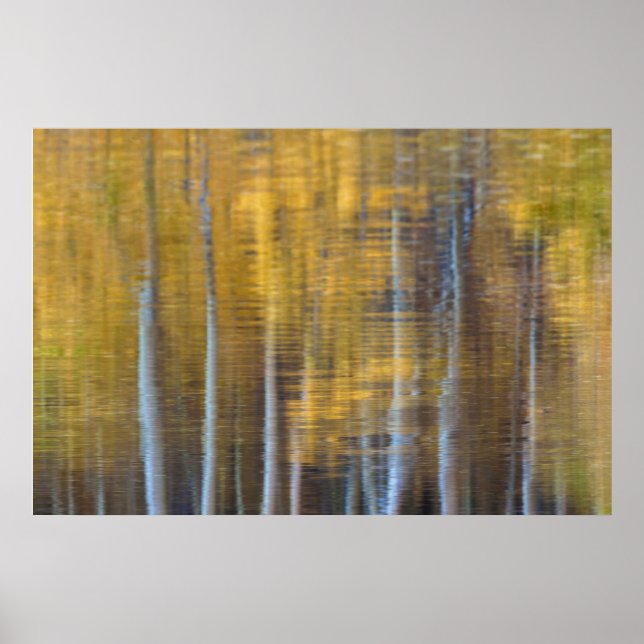 Höstskog Reflektion Abstrakt Poster (Framsidan)