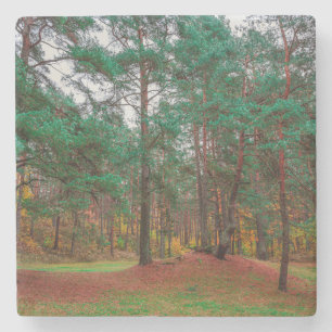 Höstskog Stenunderlägg