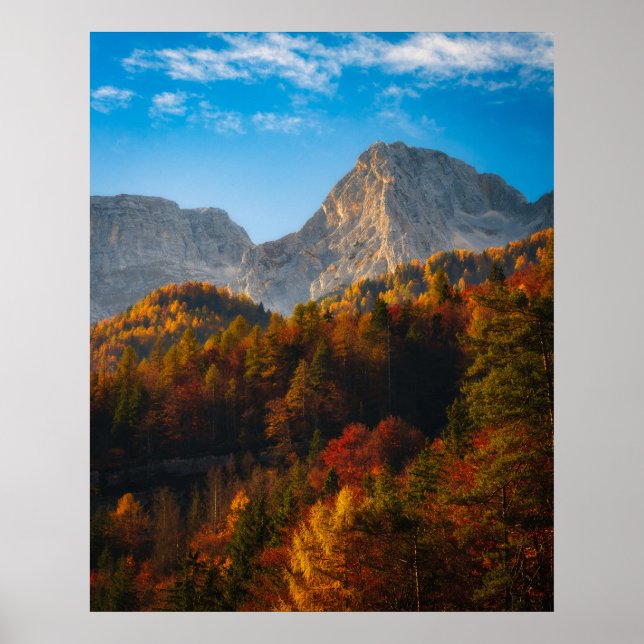 Höstskog under berg poster (Framsidan)