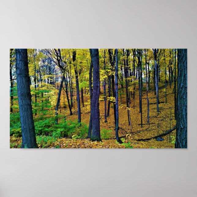 Höstskog, Väster Bend, Wisconsin Poster (Framsidan)