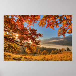 Höstskogen i bergen poster