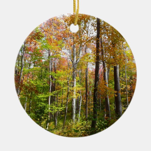 Höstskogen I Höstlandskapsfotografering Julgransprydnad Keramik (Framsidan)