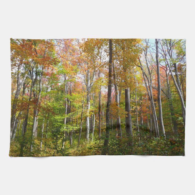 Höstskogen I Höstlandskapsfotografering Kökshandduk (Horisontell)