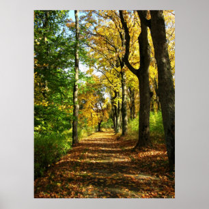 höstskogen poster