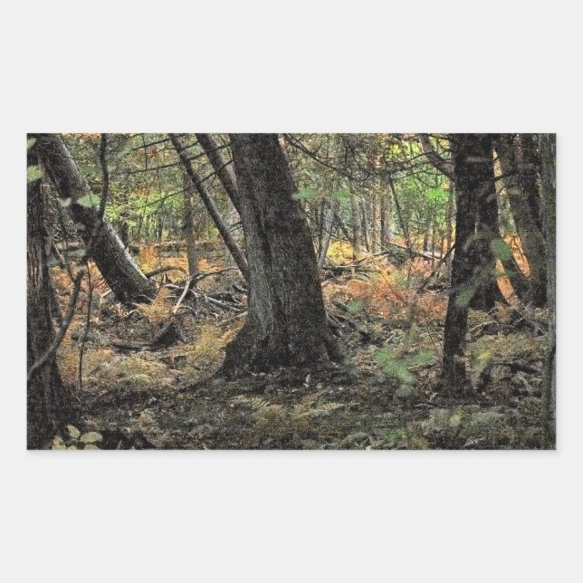 Höstskogs scen               rektangulärt klistermärke (Framsida)