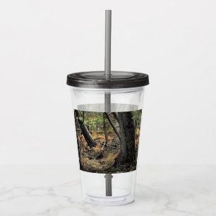 Höstskogs scen take away mugg