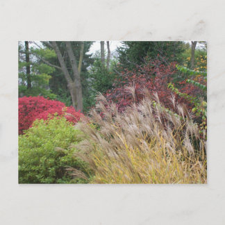 Höstskönhet i Ohio Vykort