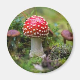 Höstskönhet Magnet
