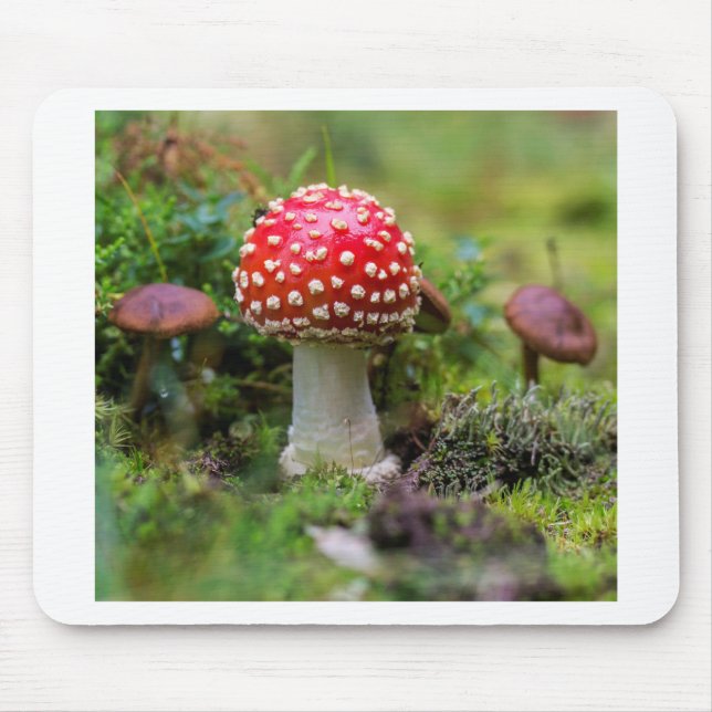 Höstskönhet Musmatta (Framsidan)