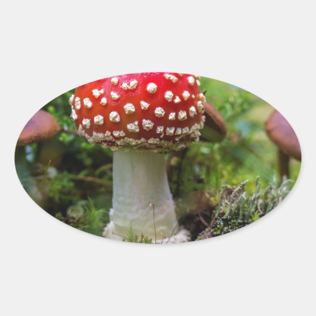 Höstskönhet Ovalt Klistermärke (Framsida)