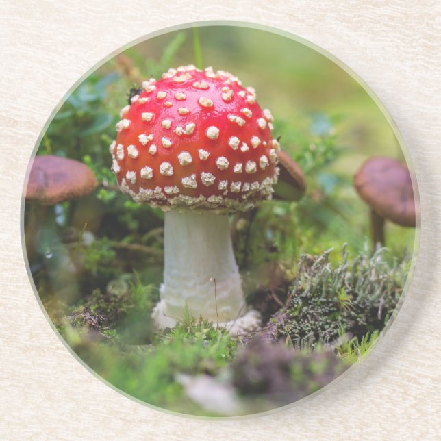 Höstskönhet Underlägg Sandsten (Framsidan)