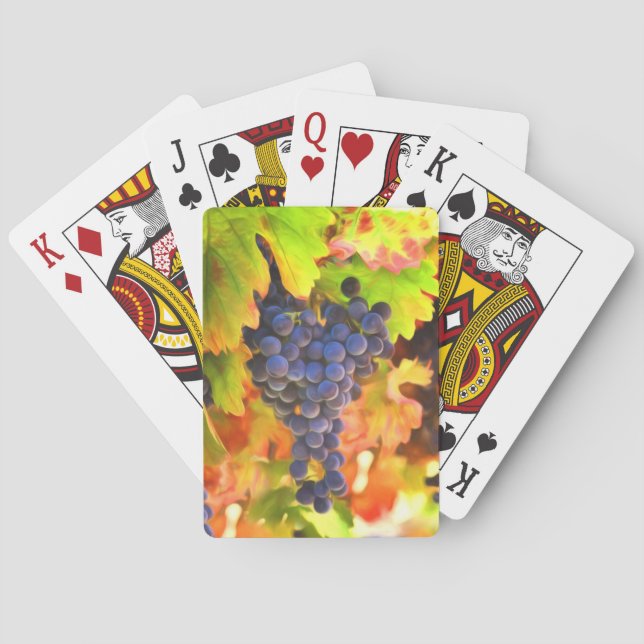 Höstskörd Vinland Vinård Casinokort (Baksidan)