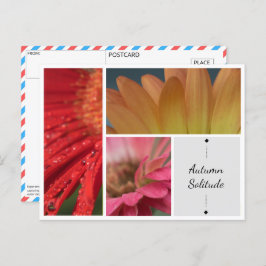 Höstsolidaritet - Vatten-droplets-vykort för Blomm Vykort