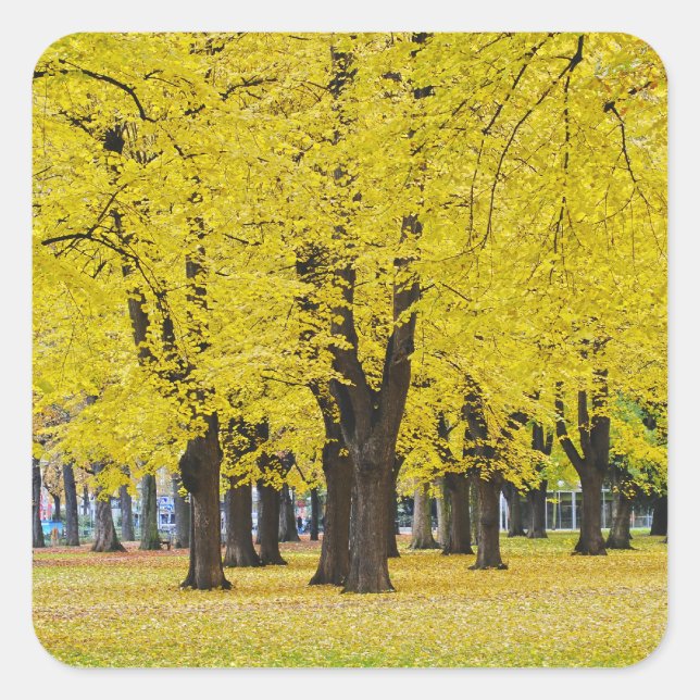 Höststämpel Fyrkantigt Klistermärke (Framsida)