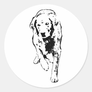 Höststreck för Golden Retriever Runt Klistermärke