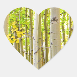 Hösttiden för aspen Träd-skogen Porträtt Hjärtformat Klistermärke