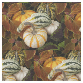 Hösttorget Fortfarande livsfoto Mönster Tyg