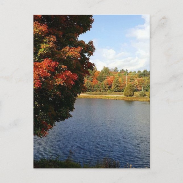 Höstträd i Ontario, Kanada Vykort (Framsida)