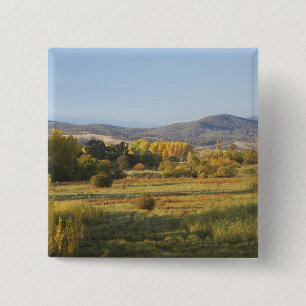 Höstträd, Khancoban, Snowy Mountains, New Knapp