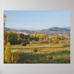 Höstträd, Khancoban, Snowy Mountains, New Poster