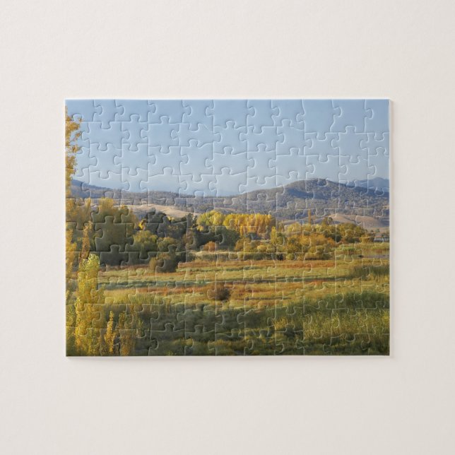 Höstträd, Khancoban, Snowy Mountains, New Pussel (Horisontell)