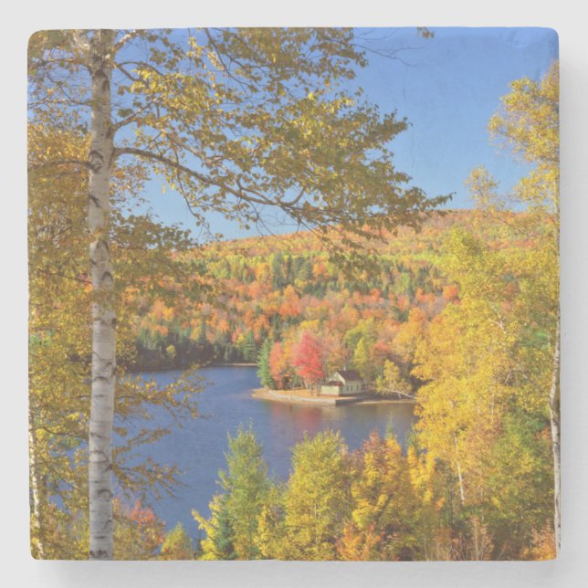 Höstträd landskap, Maine Underlägg Sten (Framsidan)