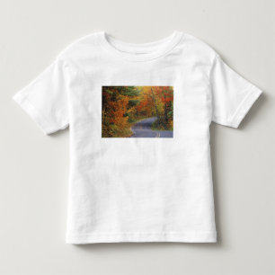 Höstträd längs vägen i Itasca State Park T Shirt